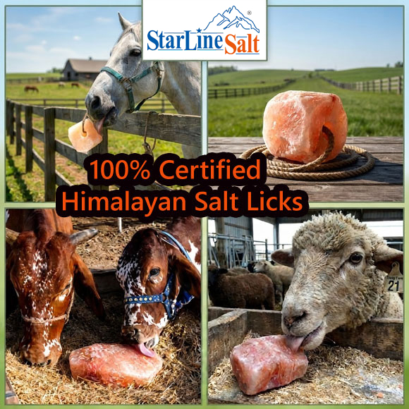 Himalayan Salt Licks by StarlineSalt Manufactures