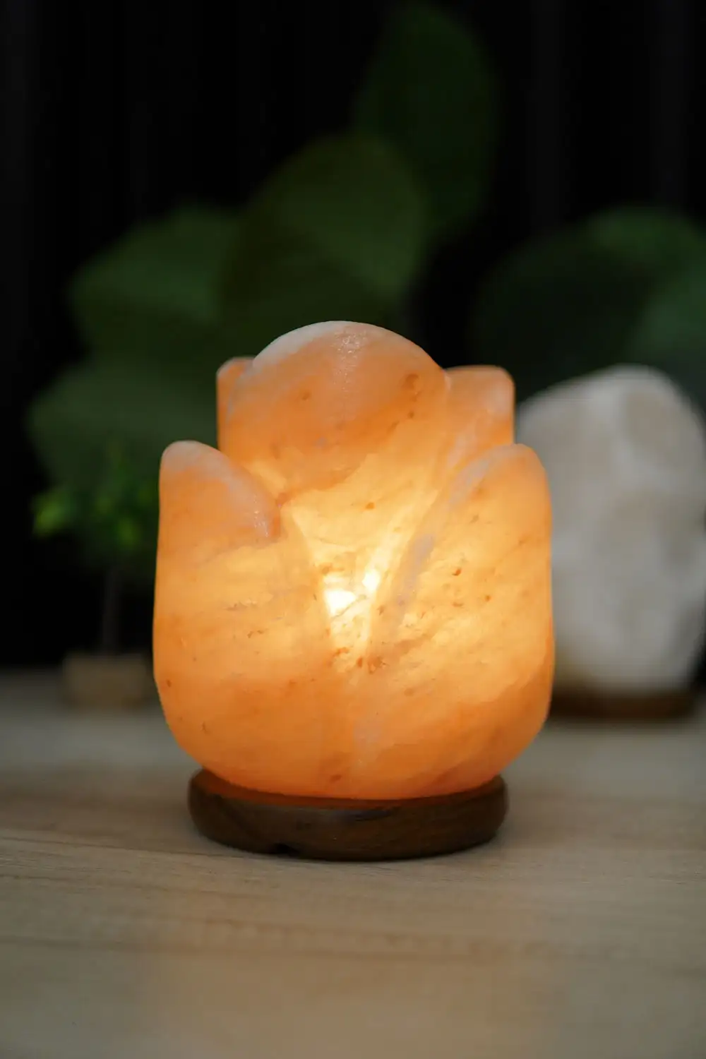 health benefits of Himalayan salt lamps | Starline Salt