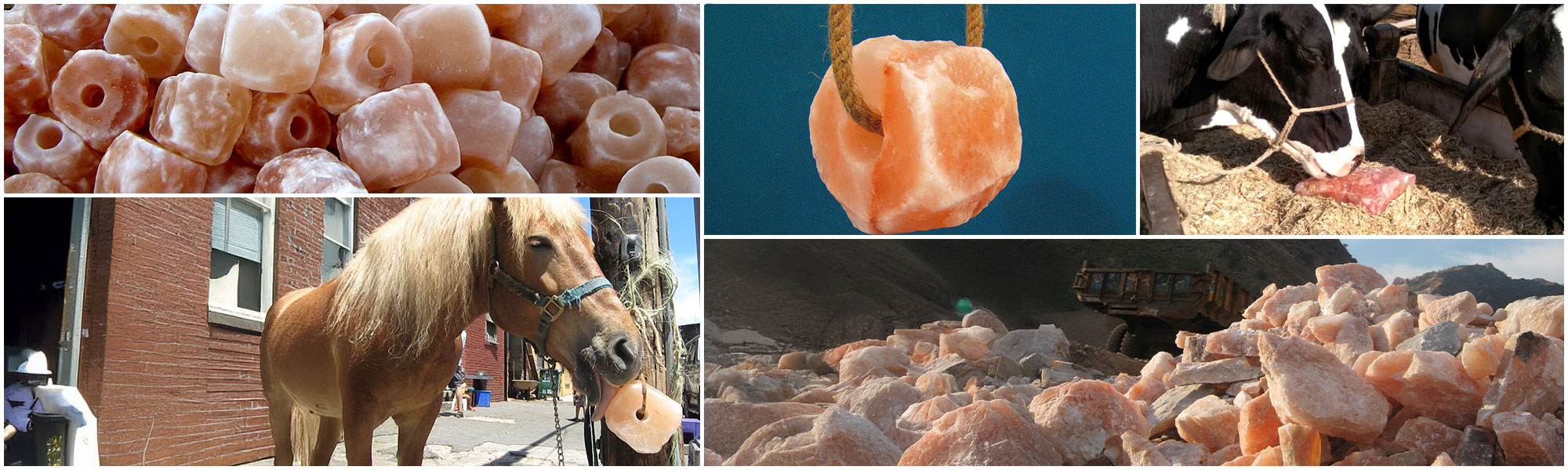 Himalayan Salt Sourcing from Pakistan