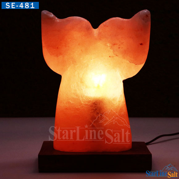 Dolphin Tale Salt Lamp