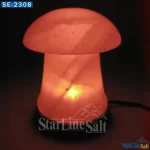 mushroom USB salt lamps