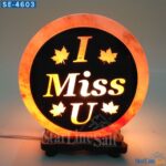 I Miss You salt lamp | StarlineSalt