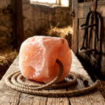 Himalayan Salt Licks for Horses by StarlineSalt