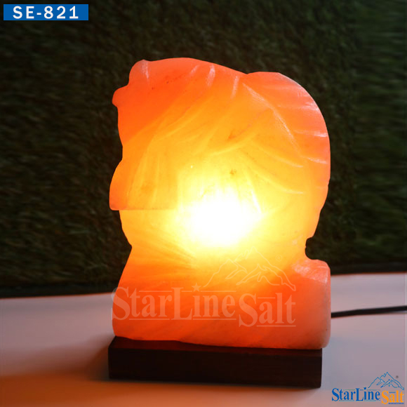 Fish-Salt-Lamp