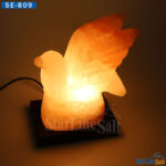 Landing-Dove-Salt-Lamps