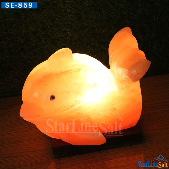 Whale-Salt-Lamps